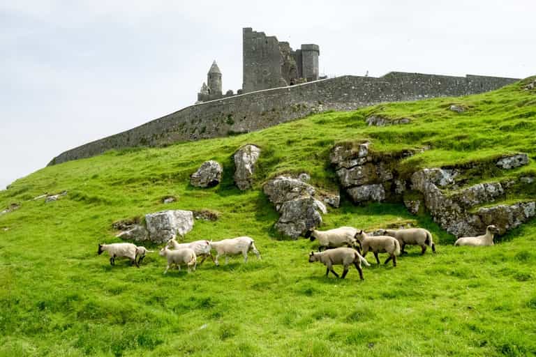 Tipperary Bucket List: 11 Things To Do In This Stunningly Beautiful Part Of The Country