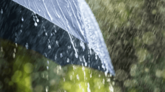 Bad news because it’s looking like wind and rain for the rest of the week