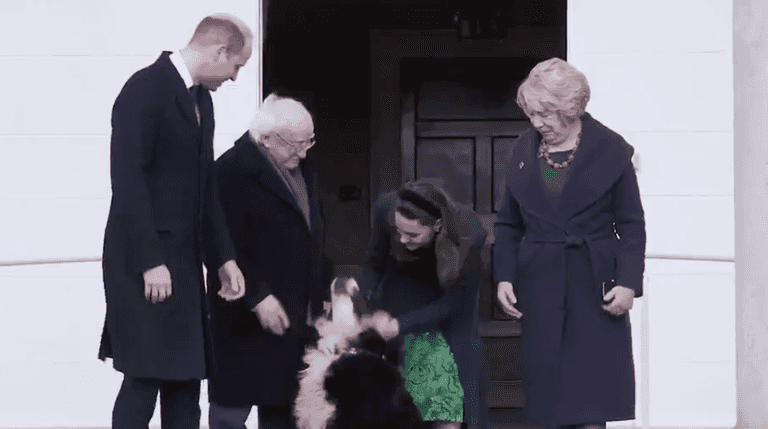 Kensington Palace have tweeted about Michael D’s dog Brod and he’s got some new fans