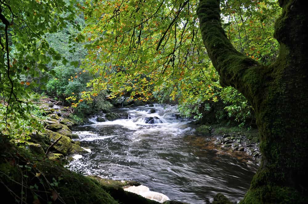 Five of the best spots in Ireland for a wild camping trip this summer