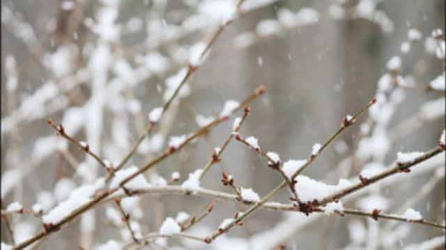 Met Éireann issue status yellow snow and ice warning Met Éireann issue status yellow snow and ice warning