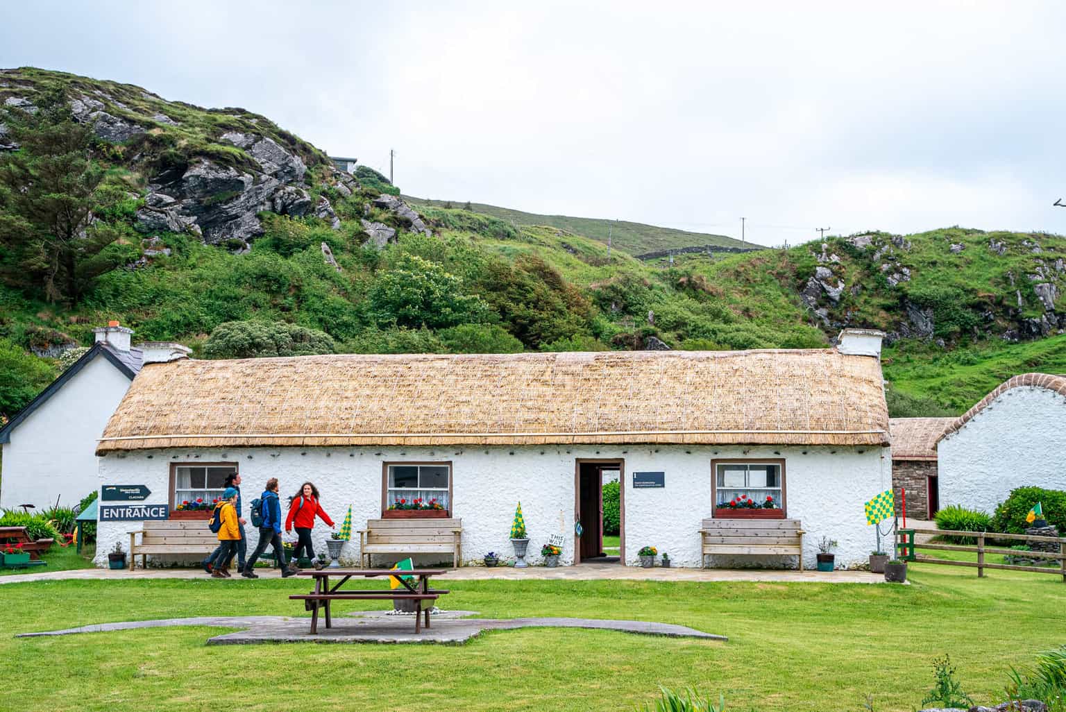 Seaweed baths, sheep dogs and shellfish tours – 9 enriching experiences along the Wild Atlantic Way