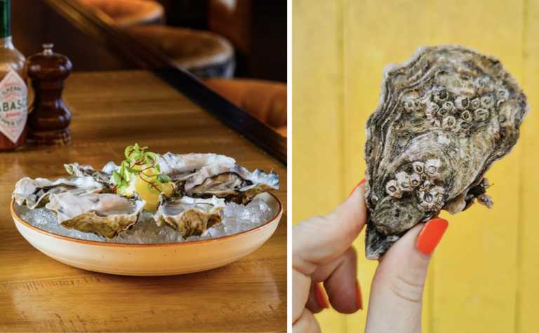13 of the best places to eat oysters in Ireland