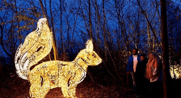 A New ‘Wonderlights’ Winter Experience Is Coming To Ireland In October