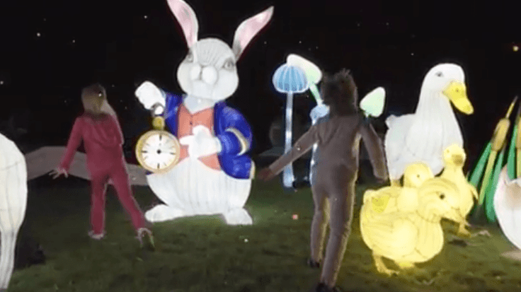 WATCH: Dublin Zoo Has Shared A Spectacular First Look At Wild Lights 2019