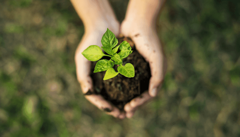 QUIZ: How Sustainable Are You?