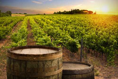 You can sleep in an ACTUAL wine barrel at this vineyard in Portugal