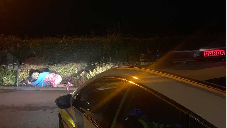 Gardaí Tweet Bizarre Photo Of Agnes Brown Passed Out On The Street