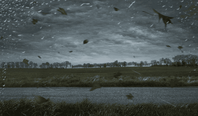 Storm Elsa results in orange weather warning being issued for Cork