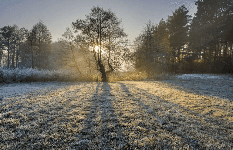 Met Eireann predicts frosty start to the New Year