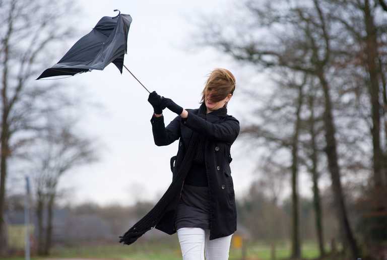 Eight counties hit with Status Yellow weather warning