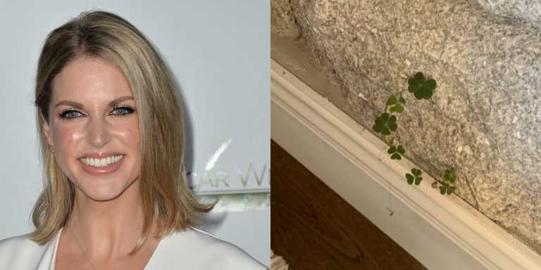 Amy Huberman found shamrocks growing INSIDE her house, had a mini parade to celebrate