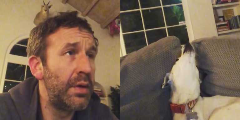 WATCH: Chris O’Dowd’s dog is a big fan of The US Office