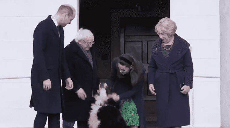 Kensington Palace have tweeted about Michael D’s dog Brod and he’s got some new fans