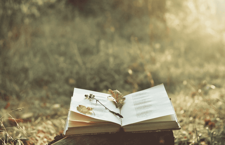 People turning to Irish poetry for solace