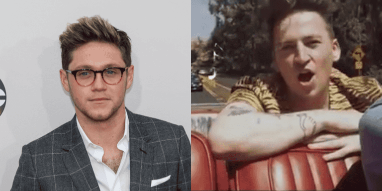 Picture This and Niall Horan join star-studded line up for global Together At Home gig