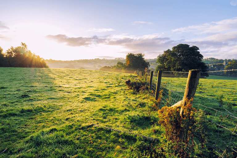 Chris O’Dowd has been asking people for photos from home to cure his homesickness