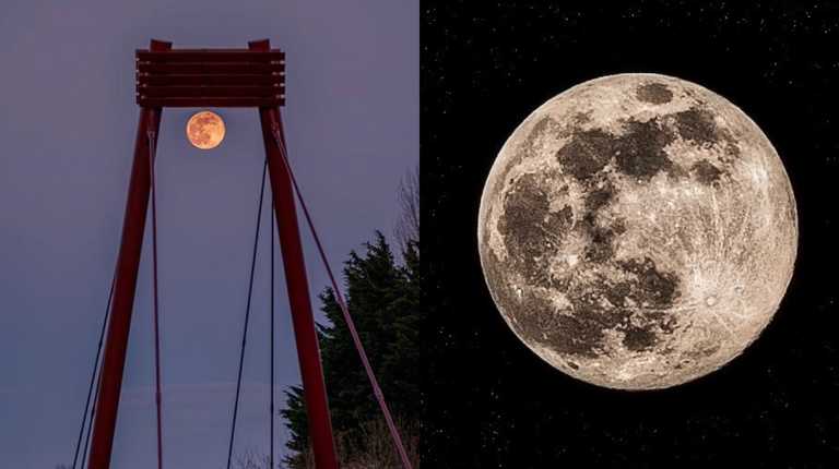 PICS: Last night’s super pink moon was a good one and here’s the proof