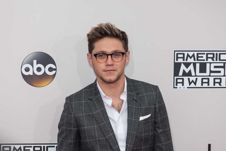 Niall Horan donates €100K to ALONE