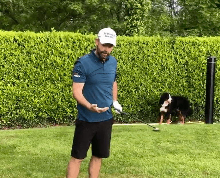 WATCH: Padraig Harrington fails to impress his dog Wilson with his golfing skills