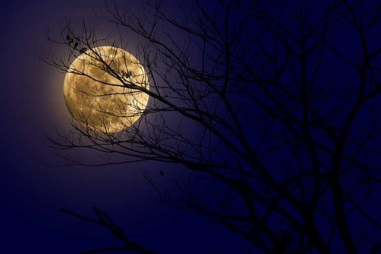 What time is the supermoon appearing over Ireland tonight? All you need to know