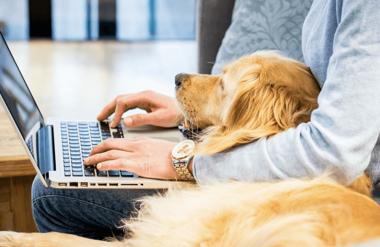 People are sharing photos of their dogs online and it’s made our day