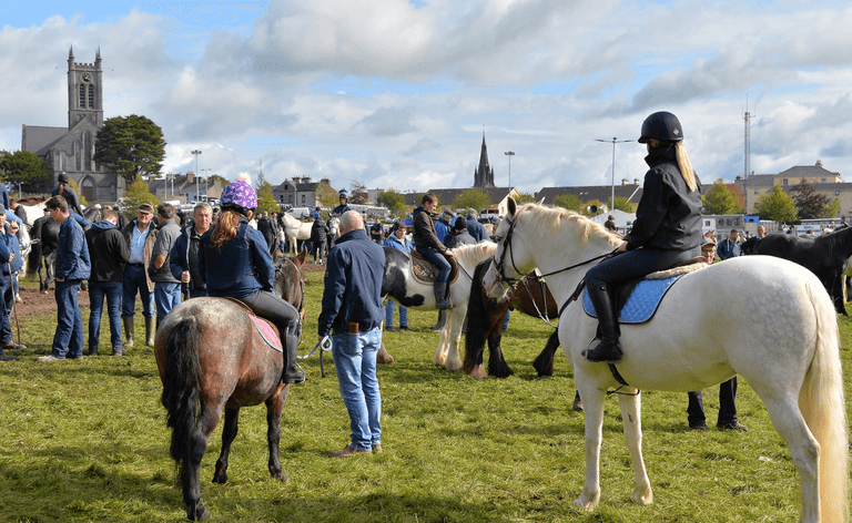 Organisers confirm cancellation of Ireland’s oldest horse fair
