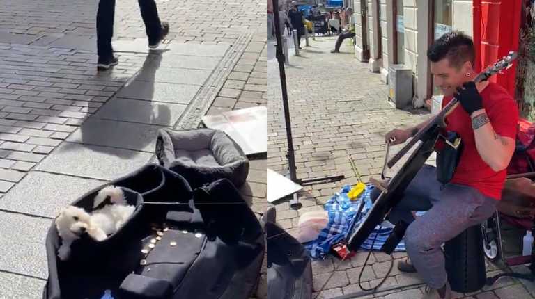WATCH: Galway busker entertains locals with adorable puppy in tow