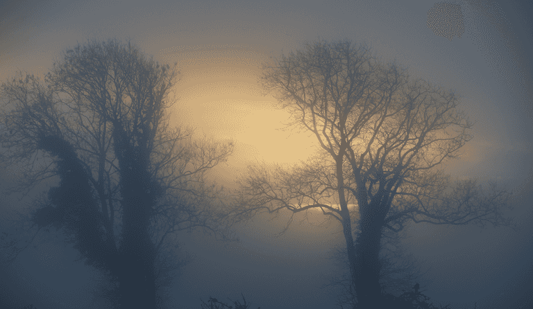 Status Yellow Fog Warning issued for much of the country