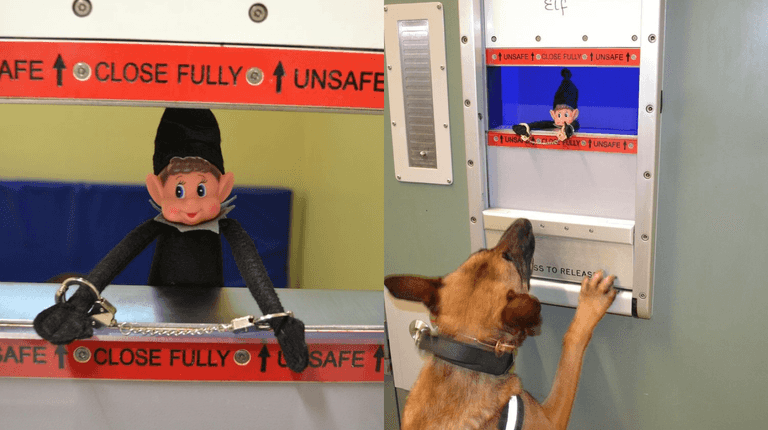 Gardaí need help finding Dazzler the Garda Elf 