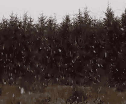 WATCH: It’s already snowing in parts of Ireland