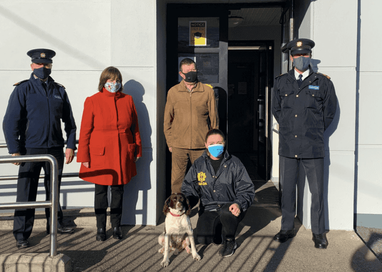 Miracle dog returned to Cork owners after being located in the UK, six months after going missing