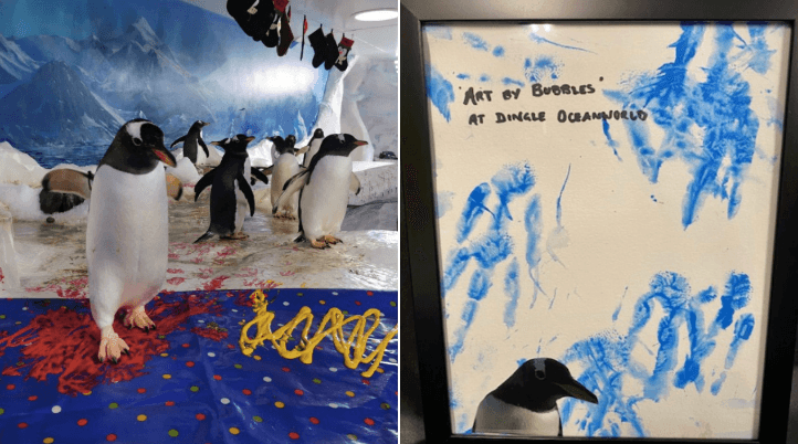 Dingle aquarium selling amazing paintings created by their penguins