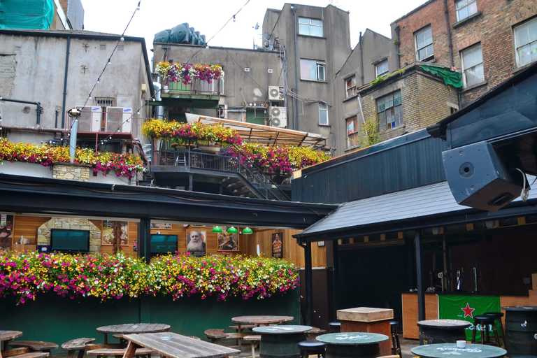 Irish immunologist – “We’ll be back in beer gardens by June”