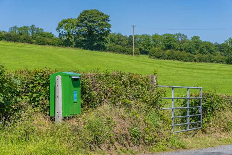 An Post successfully deliver postcard addressed to couple with ‘a rake of cats’