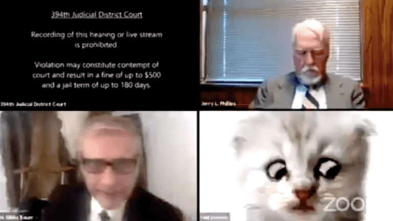 “Make sure there’s no bad meme on your computer” – Viral cat lawyer speaks out on hilarious video