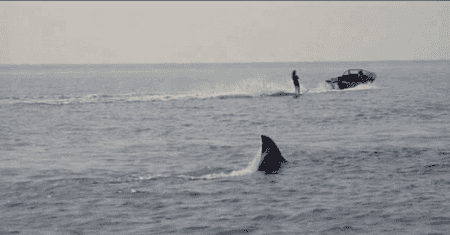 The nine best movies on TV this cold Friday night