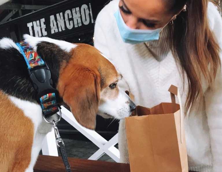 Wicklow café to donate part of proceeds from puppuccino sales to charity this week 