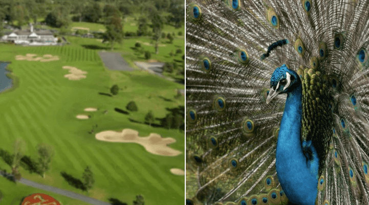 Eight outdoor activities you can do this week that weren’t permitted last week