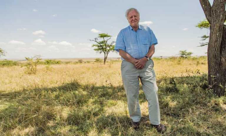 Five of the best David Attenborough documentaries you can watch at home right now