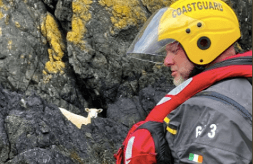 A good news story for your Monday &#8211; this sheep was safely rescued after falling from a cliff
