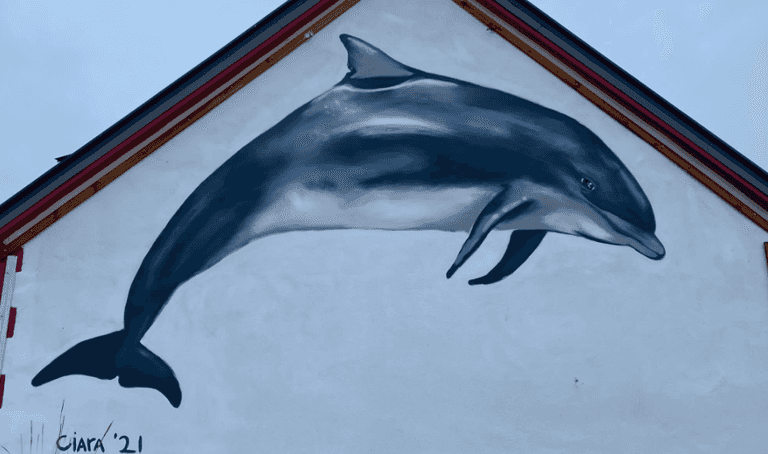 A Fungie mural was unveiled at the dolphin’s memorial service