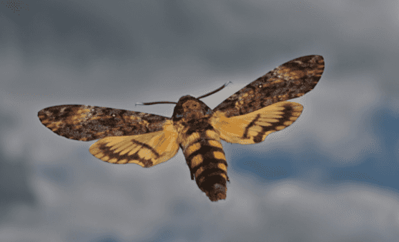 5 of the best horror book to movie adaptations