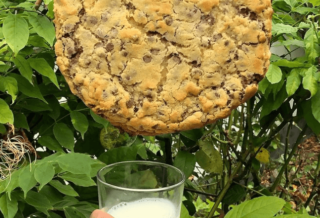 You can now buy Kilo Cookies and yes, they’re just what they sound like!