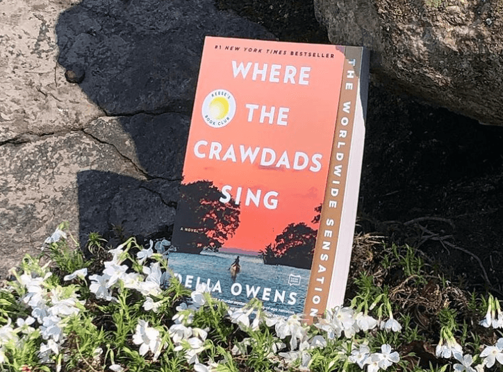 7 amazing books by female writers you have to check out!