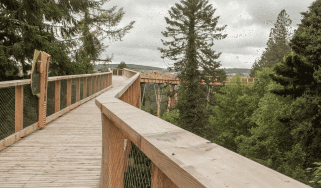 Get a 360-degree view of Wicklow at this new treetop walk and tower