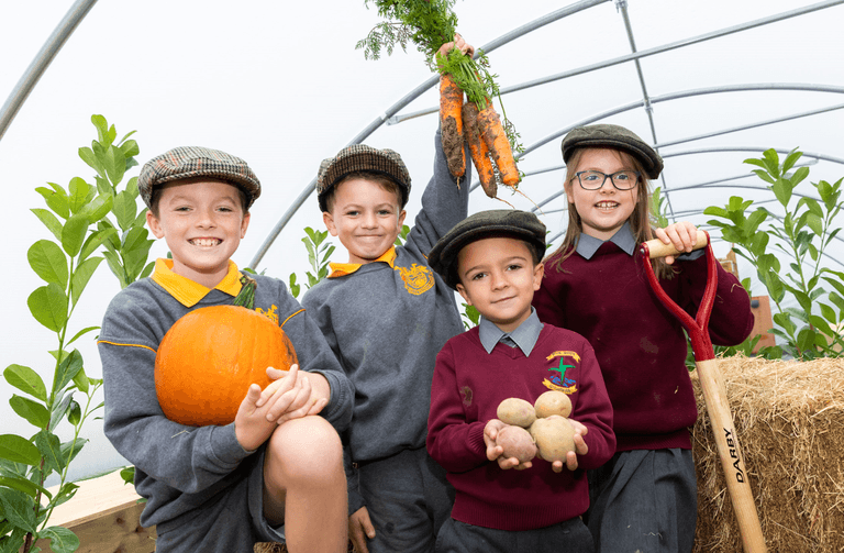The Lidl Farm has officially opened to give free school tours
