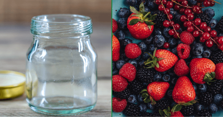 The viral trick that actually works to keep your berries fresh