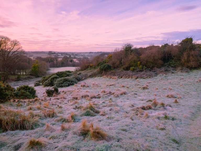 Temperatures to fall to freezing this week according to weather reports