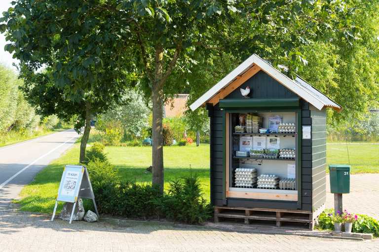 Laois siblings forced to close ‘honesty egg’ box after 4th robbery Laois siblings forced to close ‘honesty egg’ box after 4th robbery